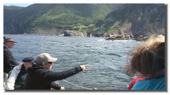 Seeing whales from the Oshan