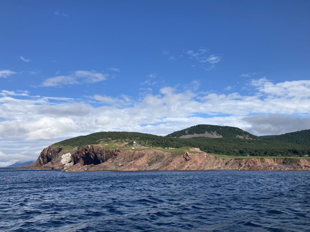A view of the cliffside beach of lowland cove from the ocean. The ocean is blue, the cove is green with a mountain in the background.
