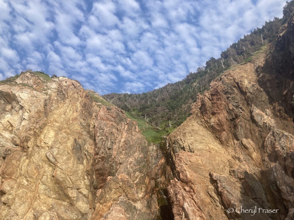 Looking up the granite cliffs, to the spruce trees, and the sky